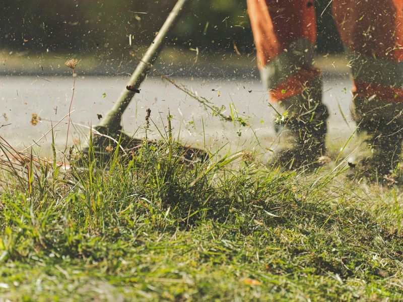 Lawn Mowing and Maintenance